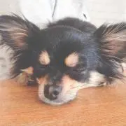 naruminの画像