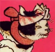 まいまいの画像