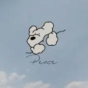 Kaの画像