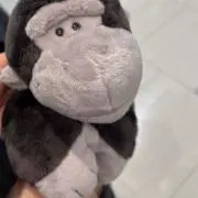 カメラちゃんの画像