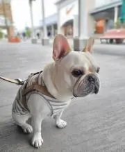 ✴︎✴︎✴︎の画像