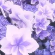 Lii☽・:*