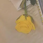 O❁プロフィール必読の画像