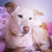 まめっこ◎プロフ必読の画像