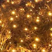 ま@購入前にプロフご一読ください