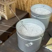 ゆきの画像