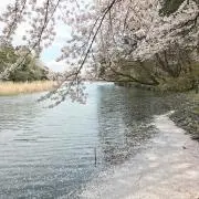 けい