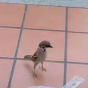 。