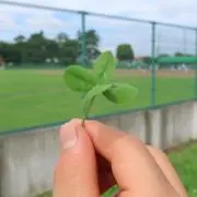 ひろあきの画像