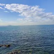みいの画像