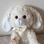 mofuの画像