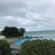 Shinの画像
