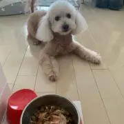なぁ(*ˊ˘ˋ*)なぁの画像