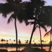 akaraの画像