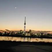 レオの画像