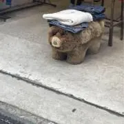 maaの画像