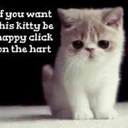 nekoc♡