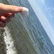 gokoの画像