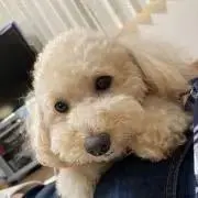 Hana♡プロフ必読の画像