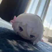 狐の画像