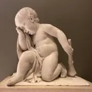 バシモリの画像
