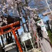 りんりんの画像