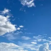 みの画像