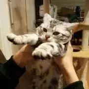 ❀さと❀