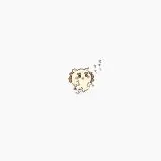 ︎︎ᕷ︎︎ᕷ︎︎ᕷの画像
