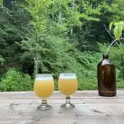 mountainbeerの画像