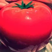 ヨヨヨーイの画像