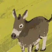 ドンキーの画像