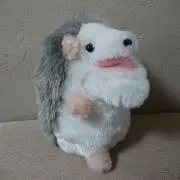 らちこの画像