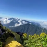 やましげの画像