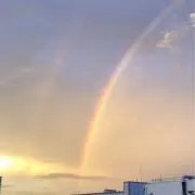 メグ♡ギブソン