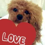 しゅぷ