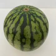 ここめろの画像