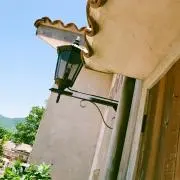 ことりの画像