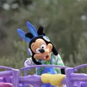 ミッキーショウ