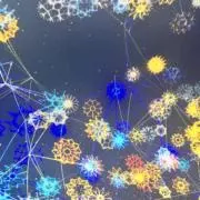 hrmtkmの画像