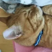 かあちゃん
