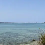 rrmaの画像