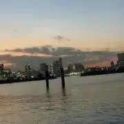 Rの画像