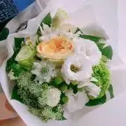 えぬの画像