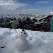 わんの画像