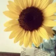 ☆rhn☆プロフ確認の画像