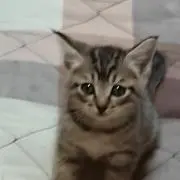 まる