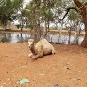 なの画像