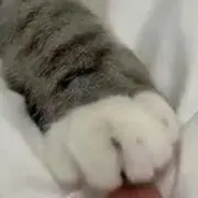 クリームパン