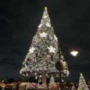 rの画像